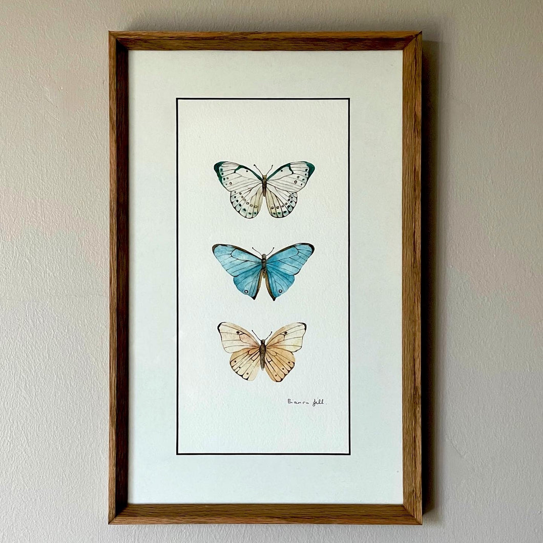 Trio of  Butterflies