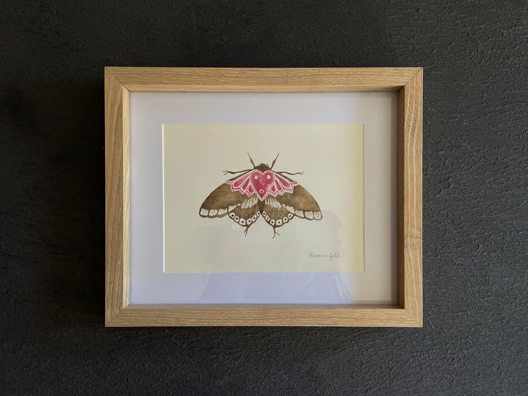 Pink and Brown Moth | One