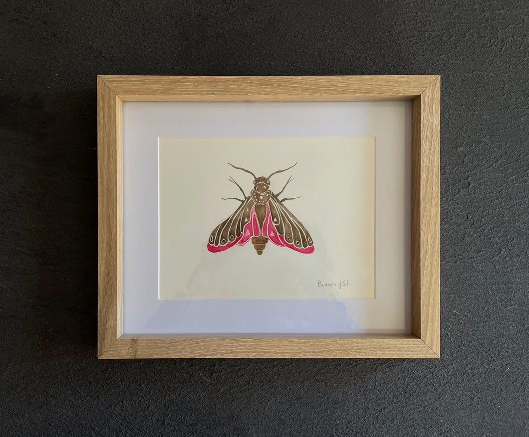Pink and Brown Moth | Two