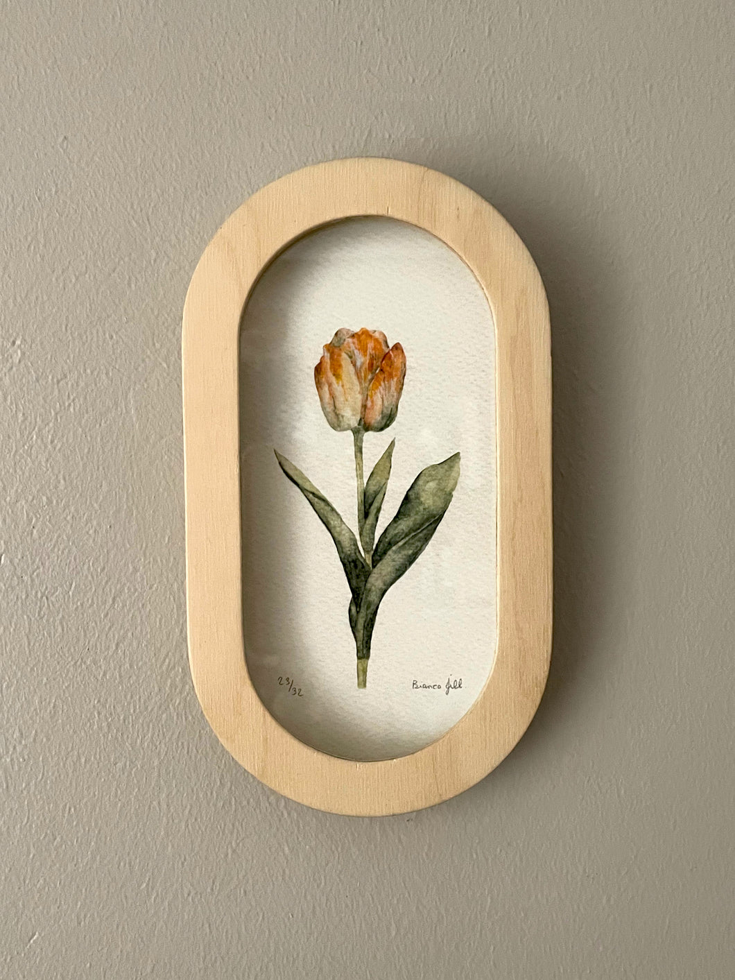 Capsule Frame Tulip